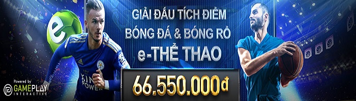 the thao w88